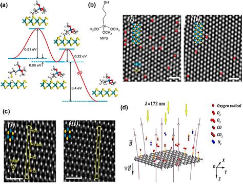 Figure 15 From Defects And Defect Engineering Of Two Dimensional Transition Metal Dichalcogenide