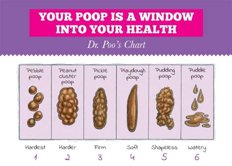 Why Does My Poop Come Out Like Water At Makayla Chris Blog