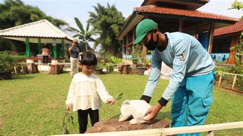 Taman Kelinci Bambu Apus Vlix Id