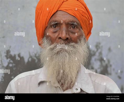 Long Grey Beard Hi Res Stock Photography And Images Alamy