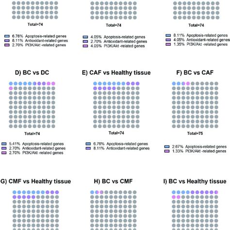 The Distribution Of Genes Related To Apoptosis Antioxidant And