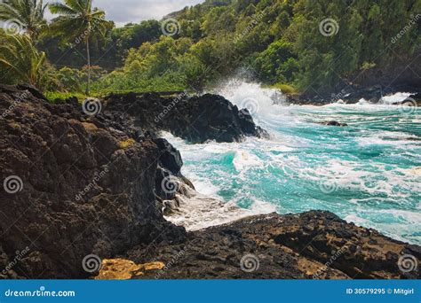 Ocean Waves Crashing Against Rocks Stock Image Image Of Forest Park