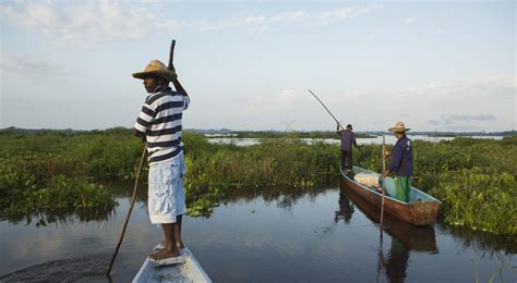 RÍO MAGDALENA TODO ACERCA DE ESTE RÍO COLOMBIANO