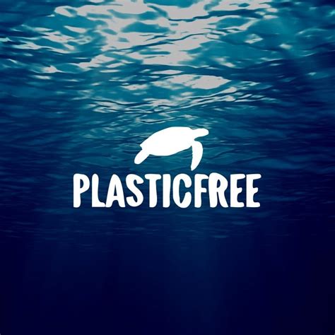 Garigliano Plastic Free Volontari In Azione Il Maggio A Minturno