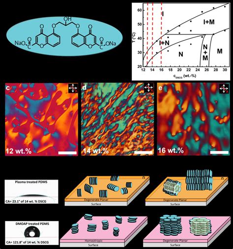 Lyotropic Chromonic Liquid Crystal LCLC Phases And Surface Mediated