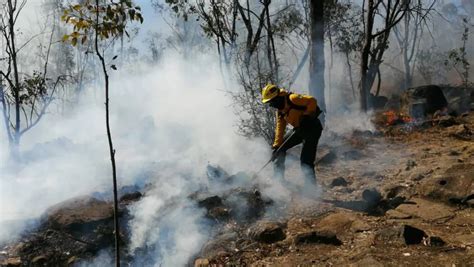 GRANDES ÁREAS DE BOSQUE EN EL ESTADO DE MÉXICO CONSUMIDAS POR INCENDIOS