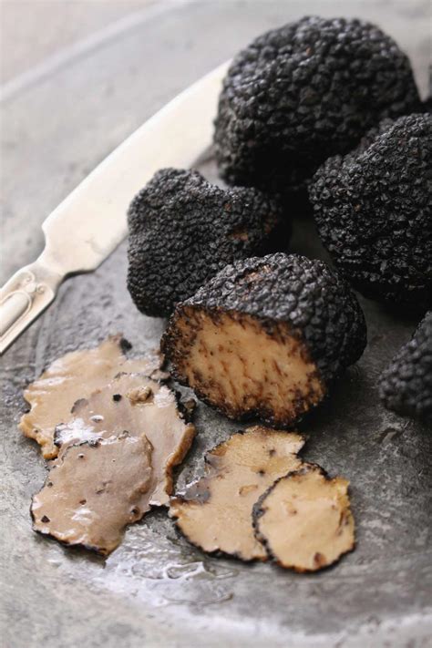 What is a Truffle (and Why They’re So Expensive) - IzzyCooking