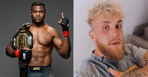 Jake Paul Congratulates Francis Ngannou On Confirming Mma Comeback With