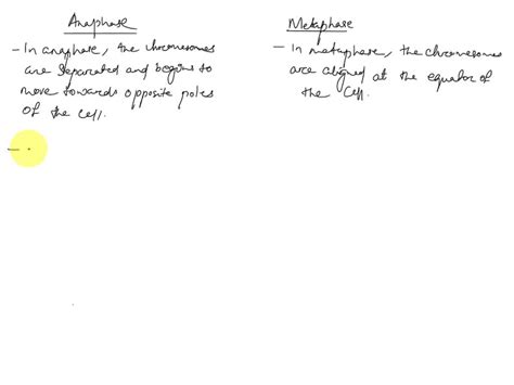 SOLVED: What's the main difference between anaphase and metaphase?