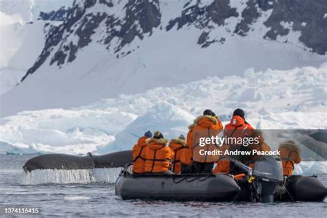 8054 Antarctica People Stock Photos High Res Pictures And Images