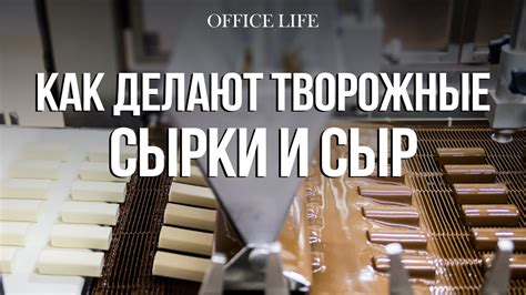 Как делают творожные сырки и сыр | «Савушкин продукт» в городе Береза ...