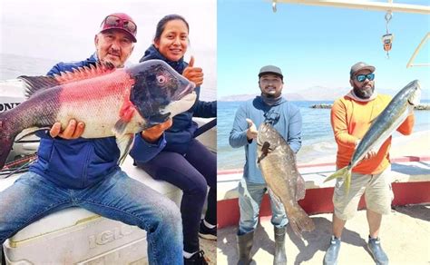 Festejar N D A Del Marino Con Torneo De Pesca Deportiva San Felipe