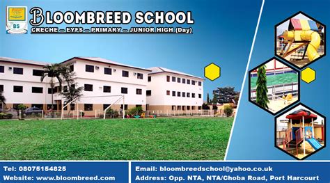 The New Bloombreed School Billboard Designs By Nd Designs