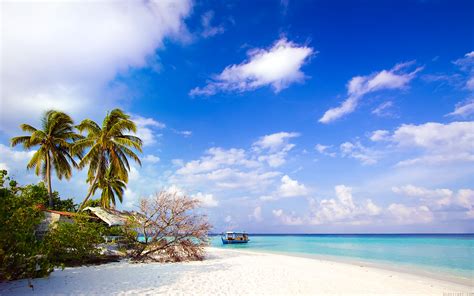 Beach Side Wallpaper Beach Wallpaper Better