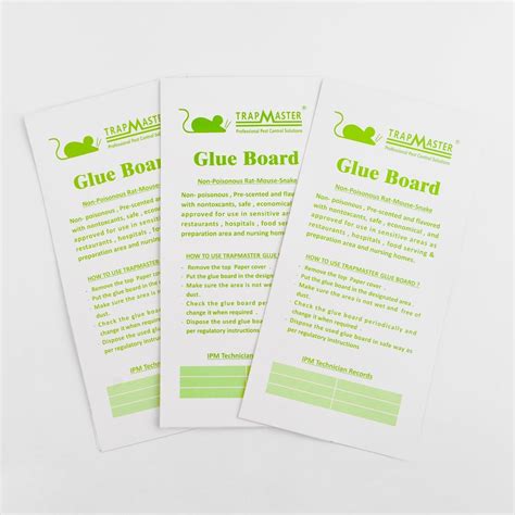 Eco Friendly Disposable Hot Melt Glue Rodent Rat Glue Trap China Pest Control And Rat Glue Price