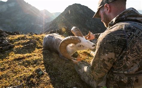 Sitka Gear - купить в России одежду и снаряжение для охоты Ситка Гир