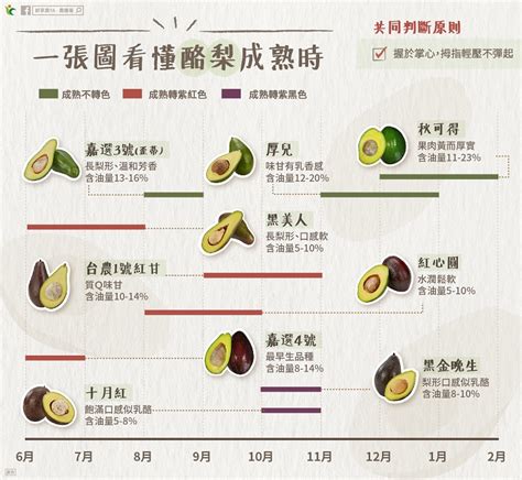 酪梨看顏色判斷熟度錯了！ 專家1圖告訴你是否能吃