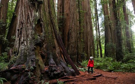 Top 10 Most Beautiful Places In California Earthology365