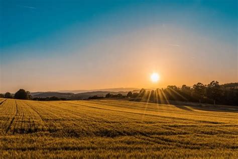 La Importancia Del Agro En Uruguay Por Qu Invertir En Agronegocios