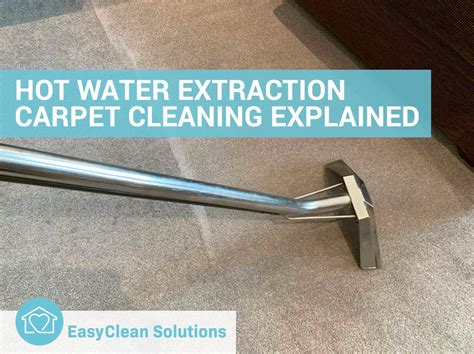 Hot Water Extraction Carpet Cleaning Explained EasyClean Solutions
