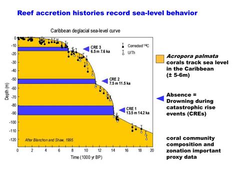 Ppt Holocene Sea Level History And Reef Development In Hawaii And The