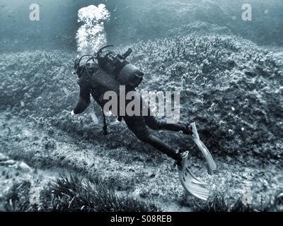 Eine Tauchen Mädchen im Bikini stellt über das Korallenriff in den warmen Gewässern am Barracuda