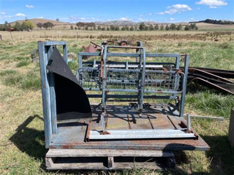 Lot 255 Sheep Handler Auctionsplus