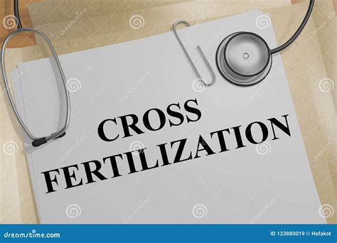 CROSS FERTILIZATION Concept Stock Illustration - Illustration of cell ...