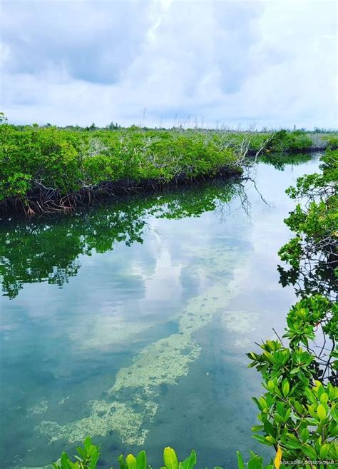 Lucayan National Park Bahamas Yachtcharterfleet