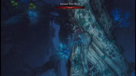 Baldur S Gate Sussur Tree Bark Location Where Is Masterwork Weapon