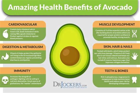 Avocado Benefits