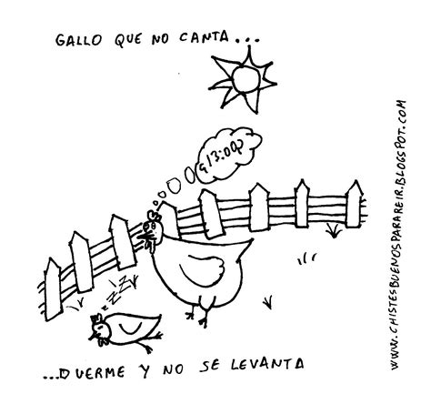 Los Mejores Chistes Chiste De El Refr N Del Gallo