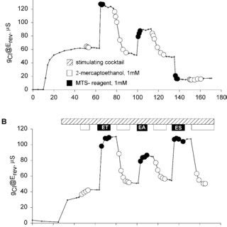 Covalent Modification Of R C Cftr Was Stable Reproducible And