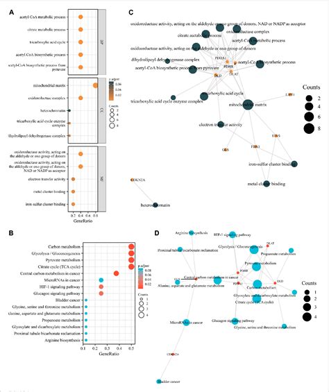 Figure 2 From Comprehensive Bioinformatics Analysis To Identify A Novel