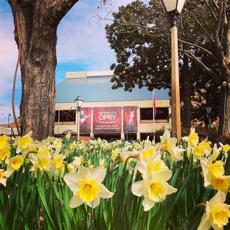 Grand Ole Opry House Event Schedule Photos And Info
