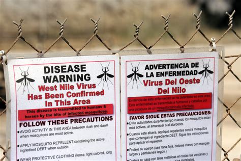 What is West Nile Fever, Symptoms, Treatment and Prevention: What the