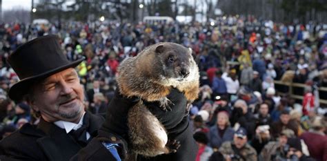 Qué es y cómo se celebra el Día de la Marmota