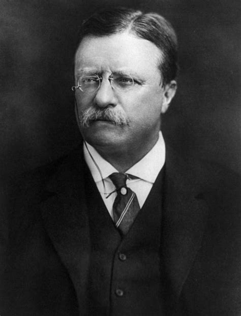 Roosevelt Memes Imgflip