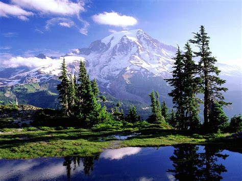 Mount Rainier National Park Wallpapers Wallpaper Cave