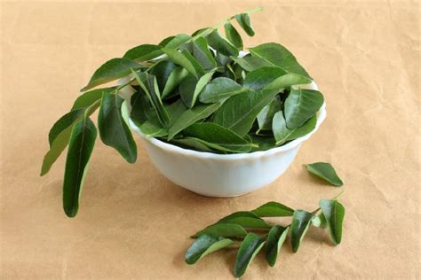 Health Benefits Of Curry Leaves Curry Leaves Can Help To Reduce