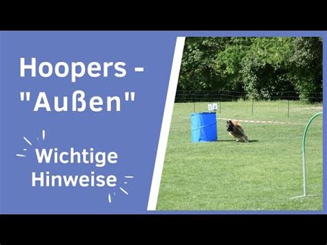 Hoopers Das Au En I Hund Um Eine Tonne Oder Ein Gate Schicken I