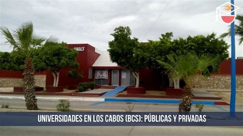 Cuáles Son Las Mejores Universidades En San José Del Cabo