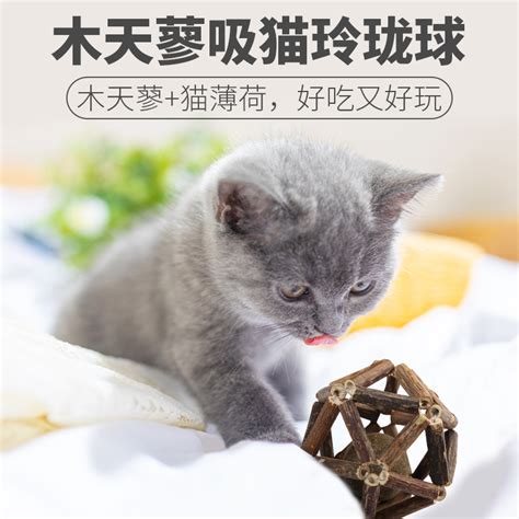 猫咪玩具木天蓼球磨牙棒猫薄荷球铃铛球幼小猫玲珑球自嗨猫咪用品虎窝淘