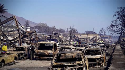 What Caused The Deadly Hawaii Wildfires Yale Climate Connections