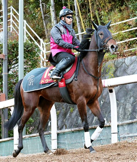 【阪神jf】ドゥーラで挑む斎藤新騎手「僕の大きなチャンスはここ」今秋のg1初制覇続出の流れに続く Umatoku 馬トク