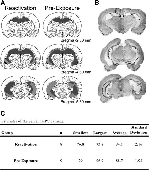 Repeatedly reactivated memories become more resistant to hippocampal damage