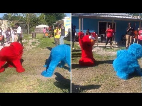 Ghetto Cookie Monster