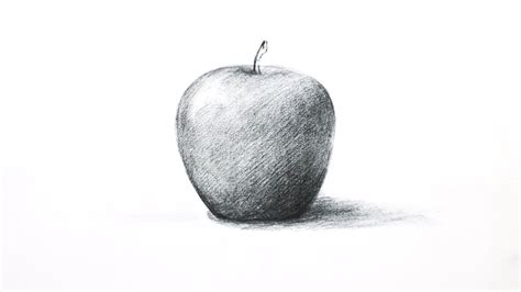 Apple Sketch Drawing