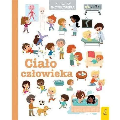 Pojazdy moja pierwsza encyklopedia książka z okienkami Wilga od 14 71