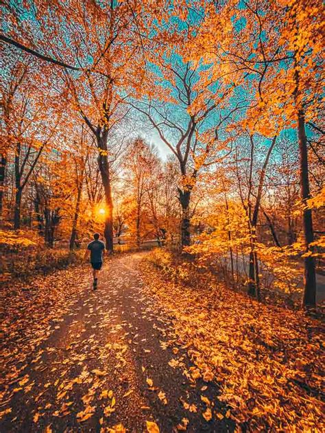 Fall In Kentucky 14 Cozy Things To Do This Autumn Let S Go Louisville